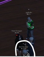 ff.png